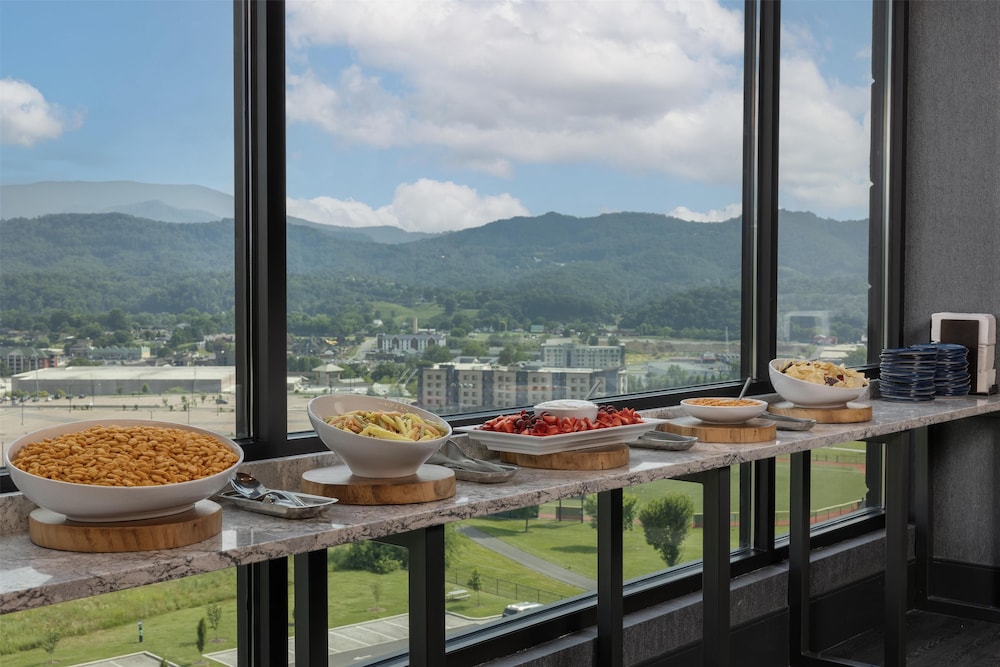 Embassy Suites by Hilton Pigeon Forge Resort - photo 43