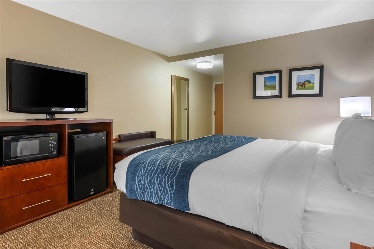 Comfort Inn Ocala Silver Springs - photo 19