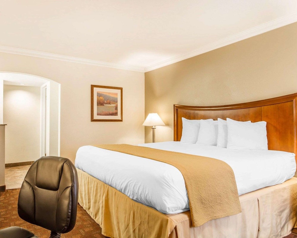 Quality Inn Sacramento Convention Center - photo 6