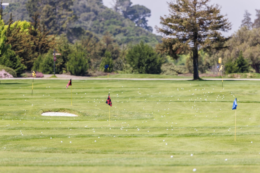 The Quail - photo 67