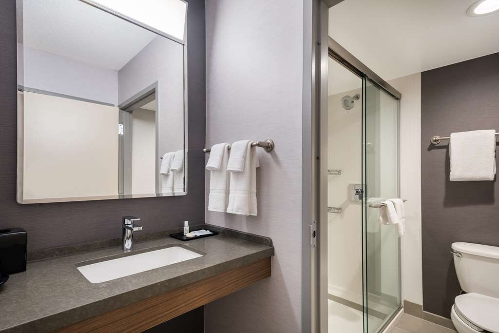 Sonesta Select San Jose Airport - photo 24