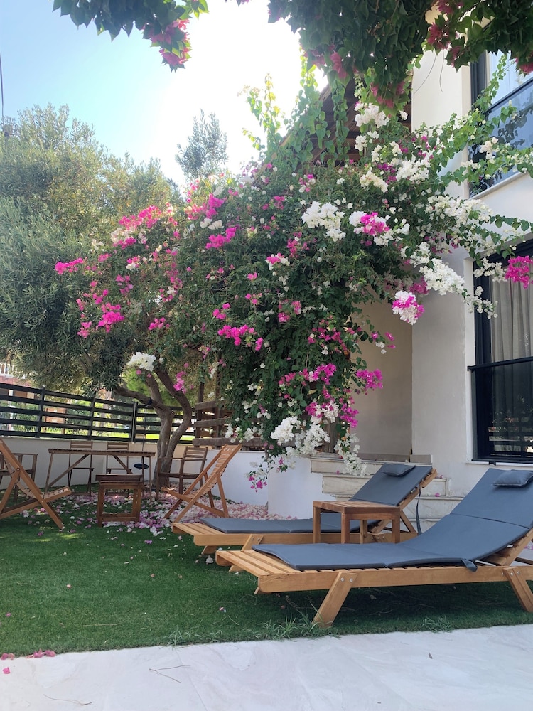 Loris Rooms in Urla, Turkey