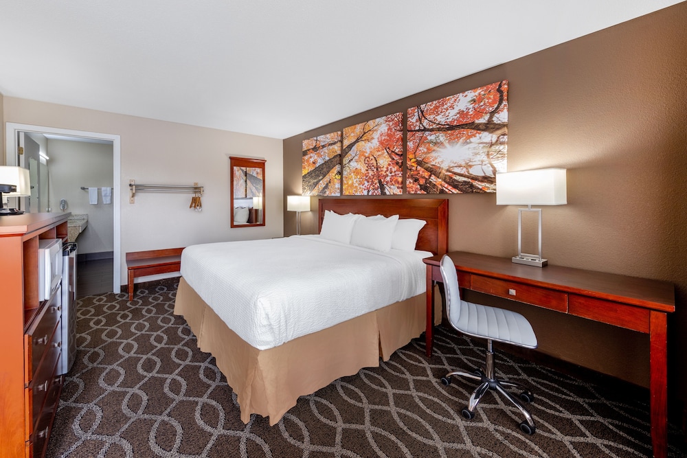 Days Inn by Wyndham St. Robert Waynesville Ft. Leonard Wood - photo 5