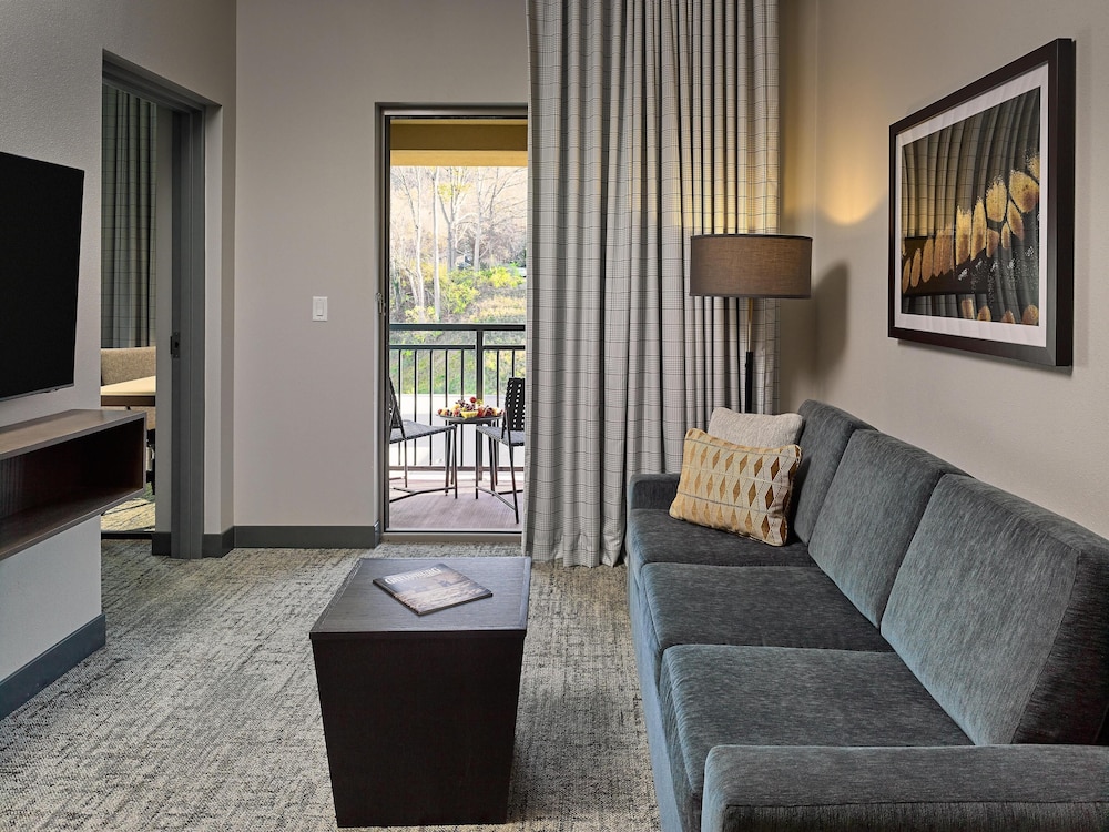 Embassy Suites by Hilton Gatlinburg Resort - photo 30