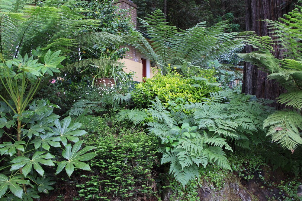 Fern Grove Cottages - photo 77