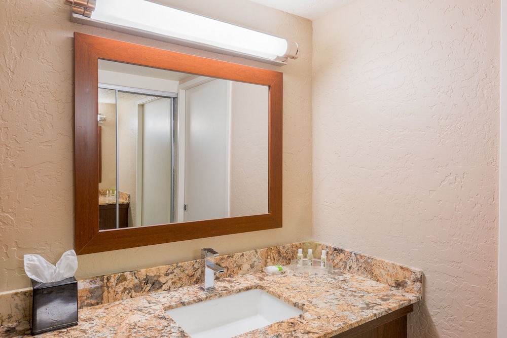 Holiday Inn Resort The Lodge At Big Bear Lake by IHG - photo 31