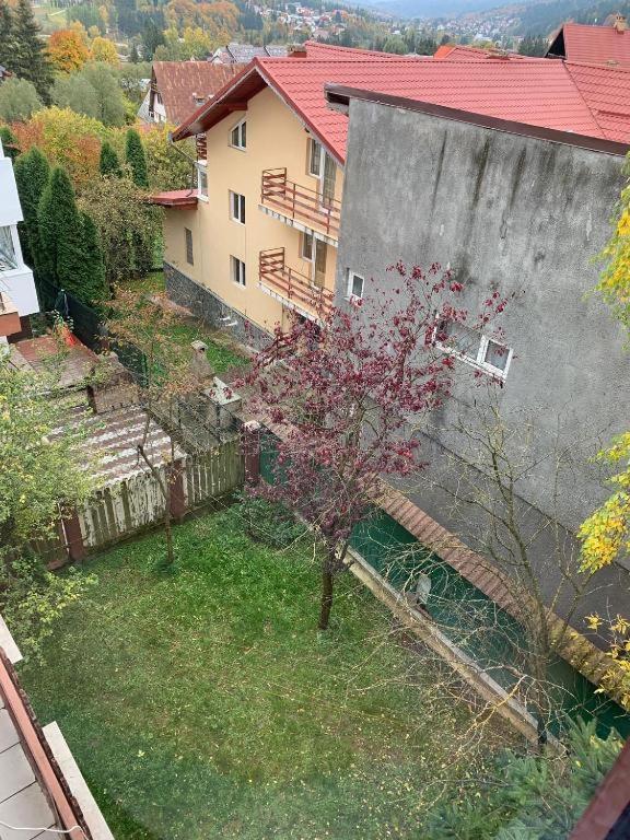 Constantinescu A — Busteni — photo 2