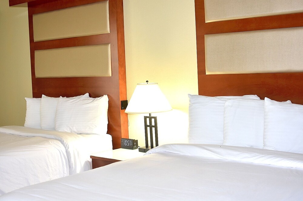 Punta Gorda Waterfront Hotel and Suites - photo 16
