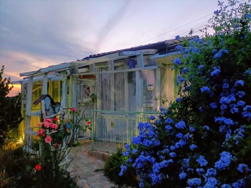 Le Rondini pet-friendly hotel Montecosaro