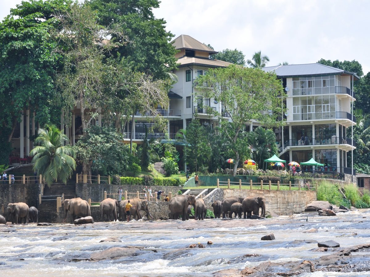 Hotel Elephant Bay - last minute hotel in Kandy