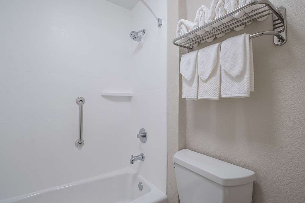 Econo Lodge Inn & Suites Foley North Gulf Shores - photo 25
