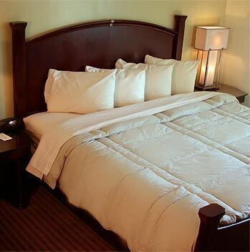 Marvin's Garden Inn - photo 16