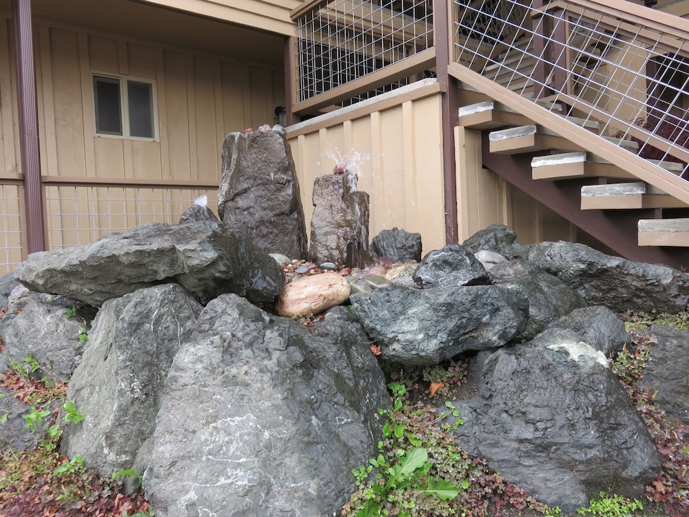 Olympic View Inn - photo 48