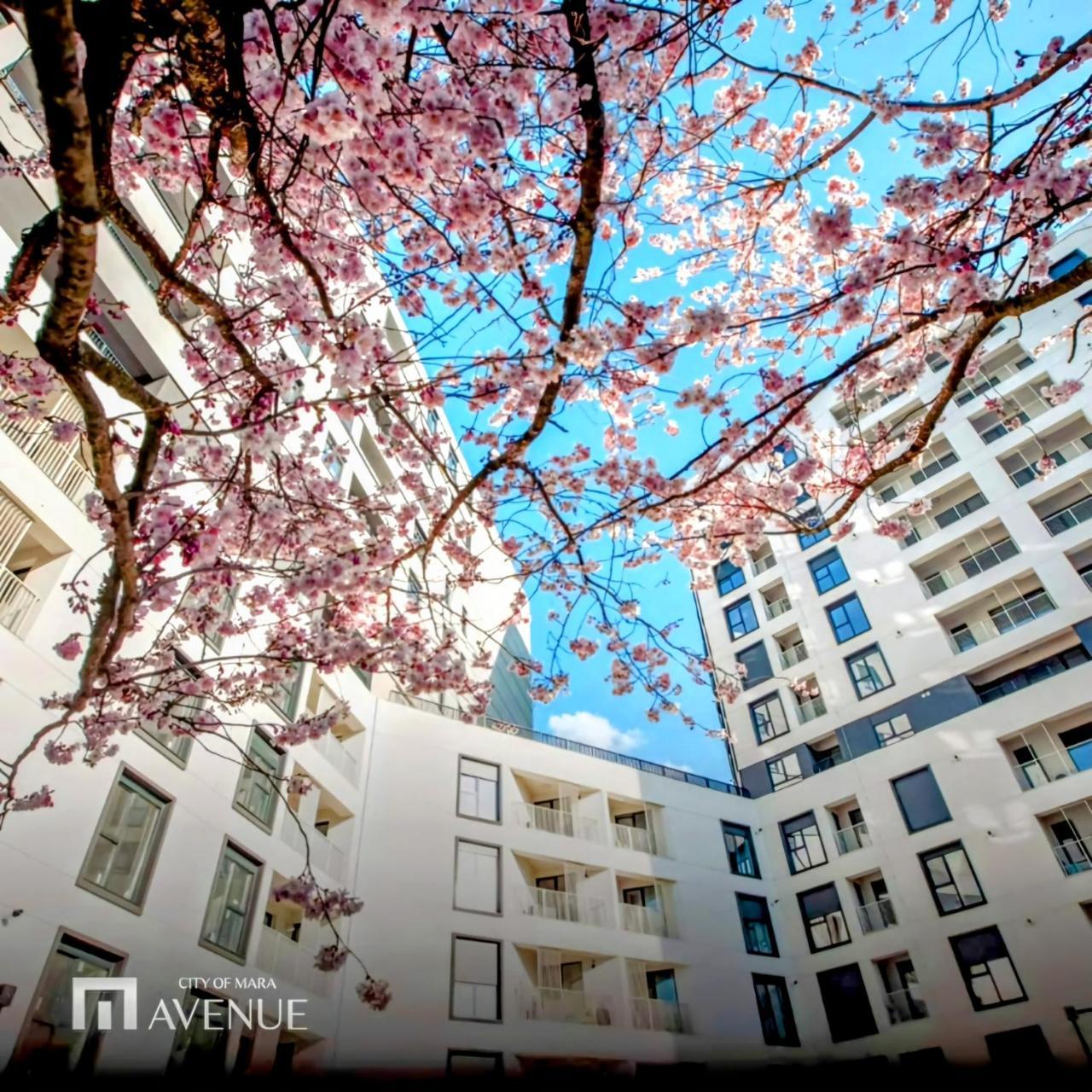 Avenue Of Mara Apart Hotel Ultracentral Studio Deluxe With Free Underground Parking in Timisoara, Romania