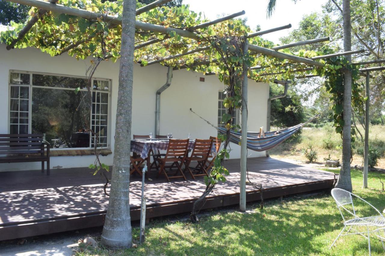 Kruger Park Farmstay near Orpen Gate in Hoedspruit, South Africa