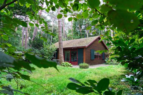 Bed en Boshuisjes — carbon neutral stay, Oisterwijk