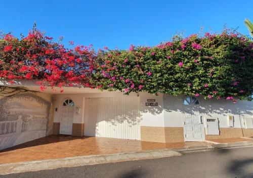 Villa Larnia de Tenerife — Sauzal — photo 2