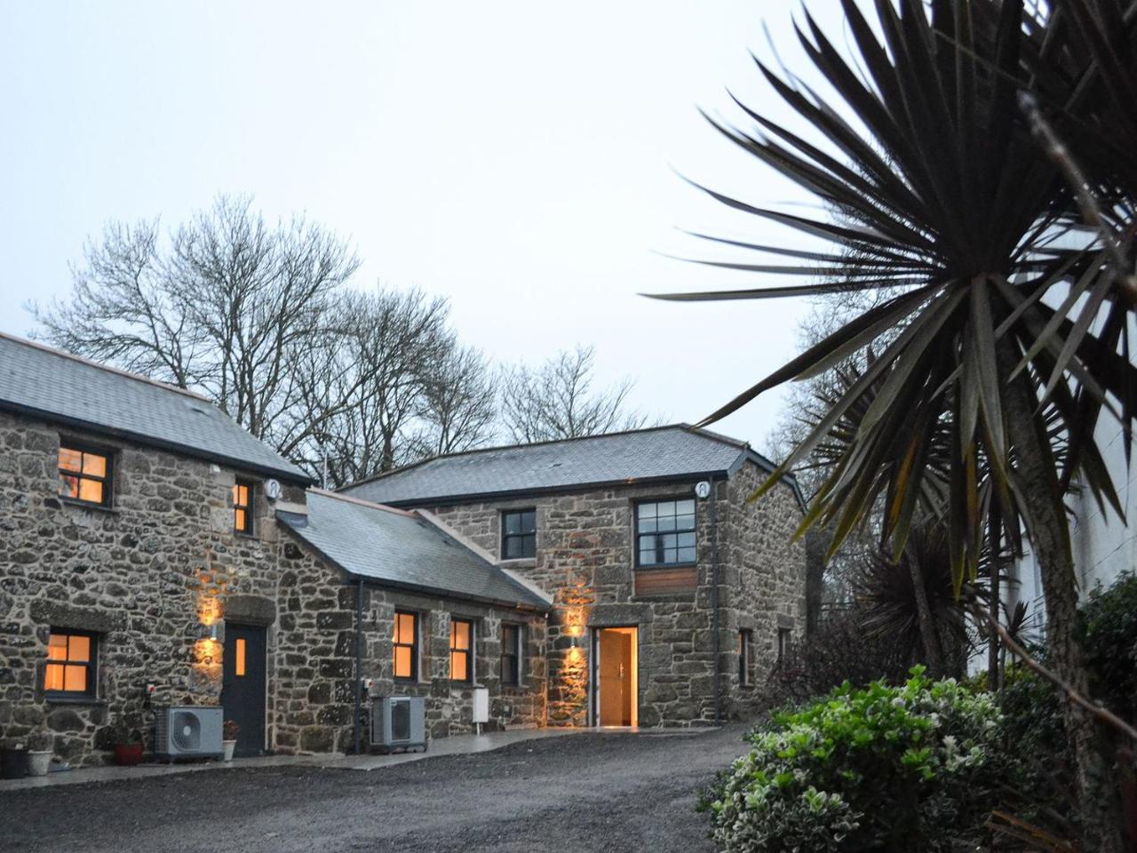 Midge in Penzance, United Kingdom