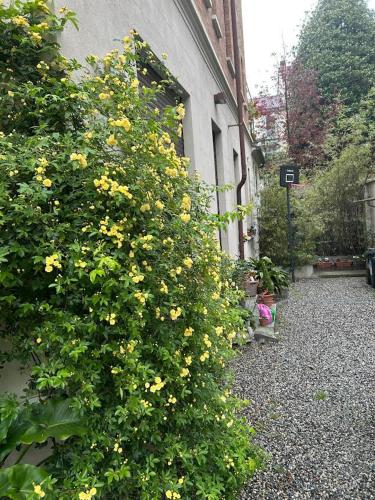Loft Crimea con patio — 4-Star Luxury Hotel in Turin, Italy