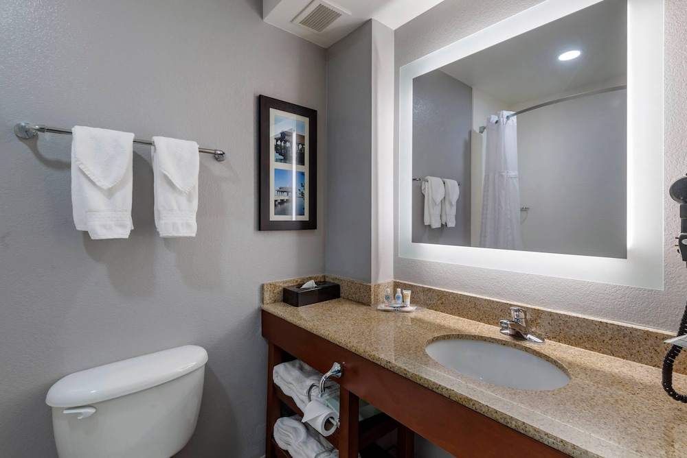 Comfort Suites near Birkdale Village Huntersville - photo 18