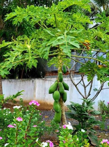 KS Quảng Trường Mỹ Tho — My Tho — photo 4