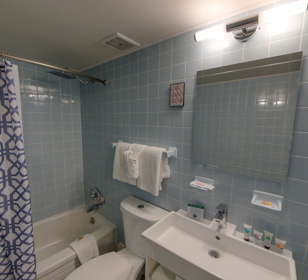 Hotel Royal Oak - photo 46