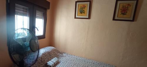 Comfort Zone in Orgiva, Spain