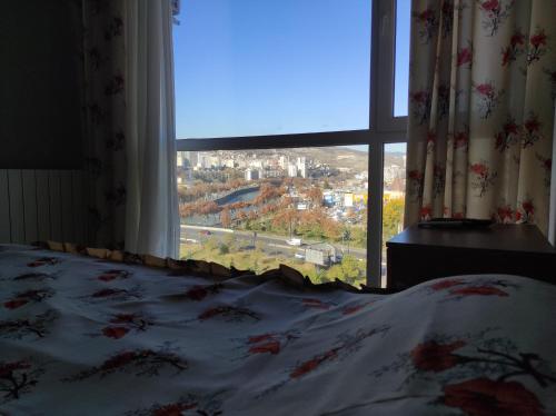 Tbilisi best view of the river