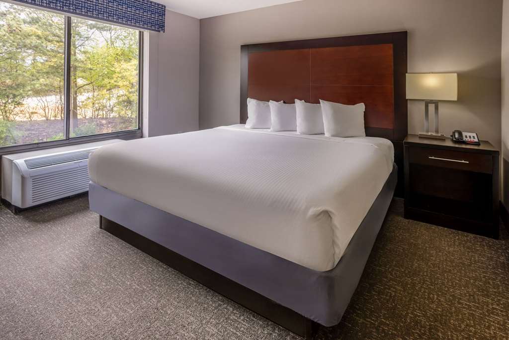 Wingate by Wyndham Atlanta Galleria Ballpark - photo 24