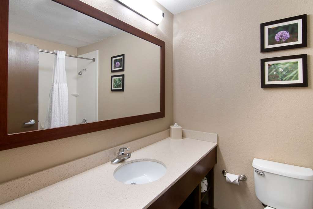 Comfort Inn & Suites Junction City near Fort Riley - photo 27