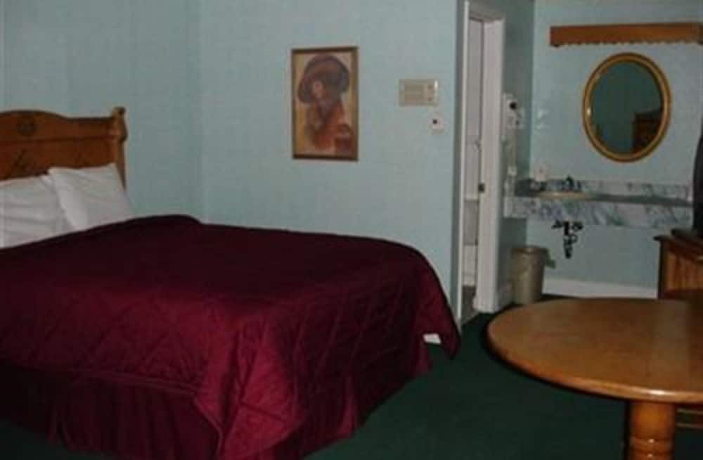 Georgetown Mountain Inn - photo 8