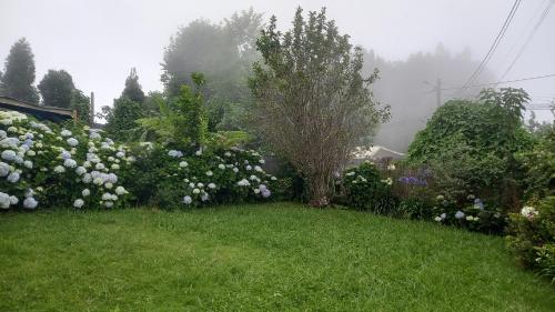 Kaznanou - last minute hotel in Saint-Joseph
