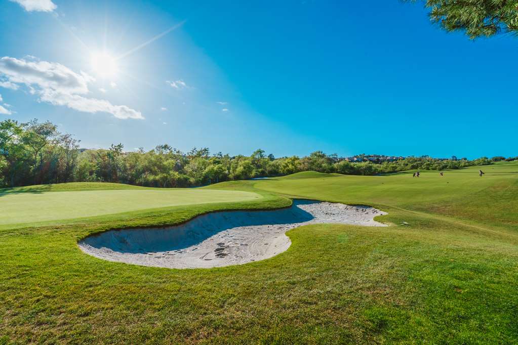 The Seabird Ocean Resort & Spa Part of Destination Hotel by Hyatt - photo 5