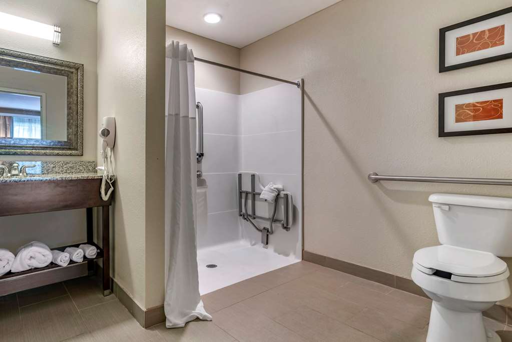 Comfort Suites Biloxi Ocean Springs - photo 14