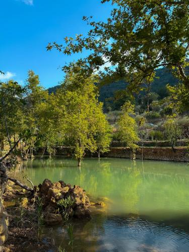 Riverside Jahliye Chouf in Unknown City, Lebanon