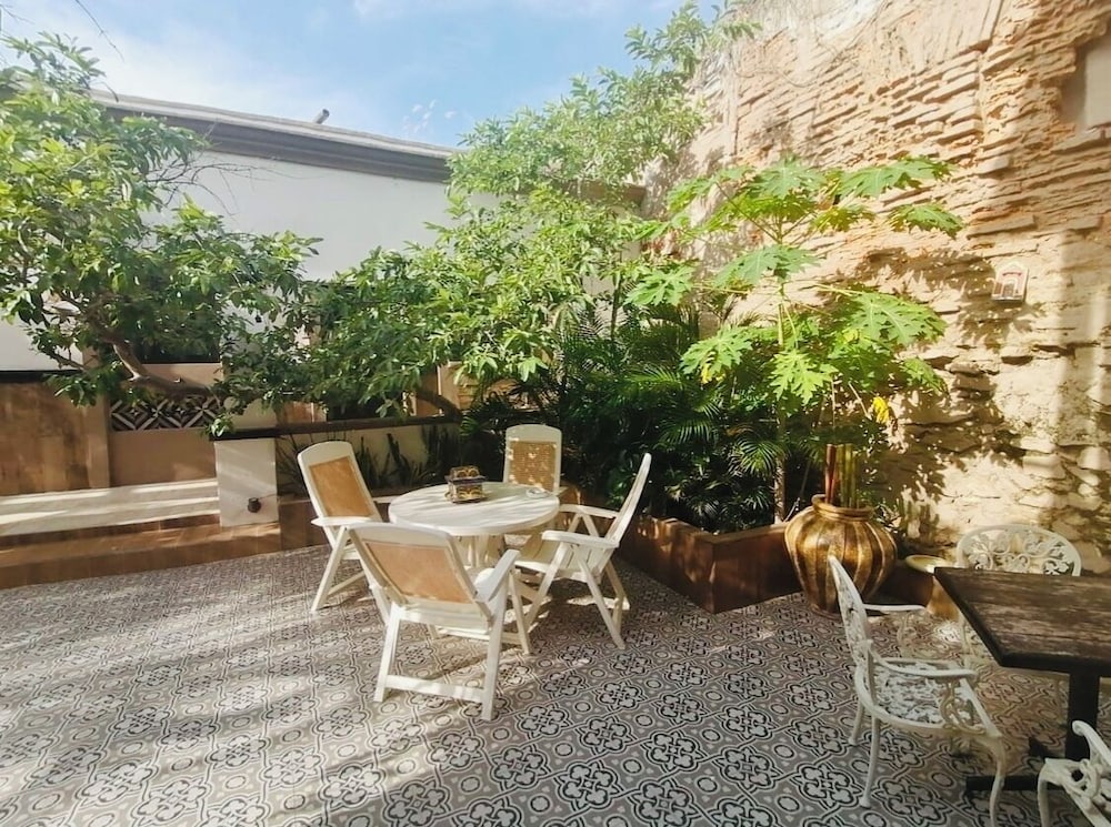 Black Tree Hotel Boutique in Mazatlan, Mexico