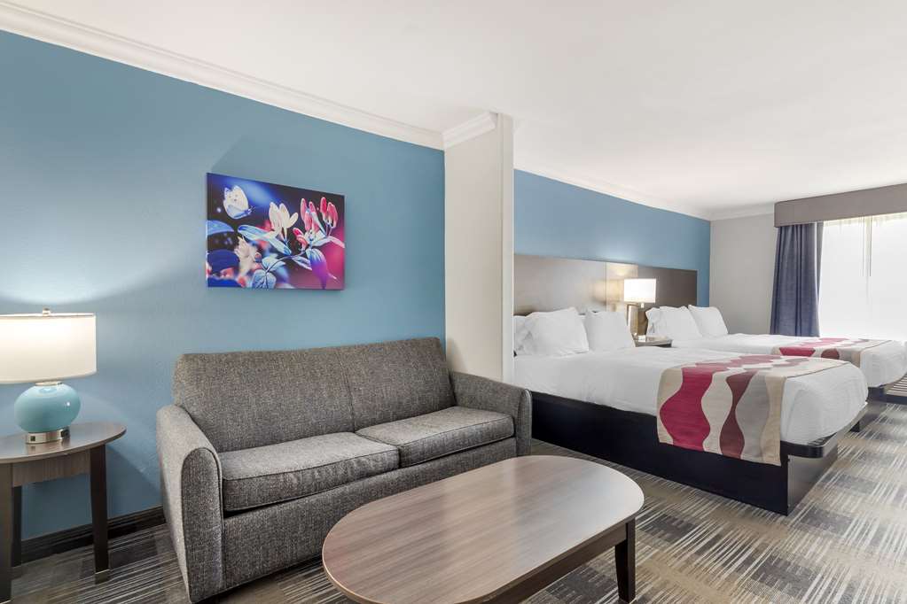 Best Western Medical Center North Inn & Suites Near Six Flags - photo 5