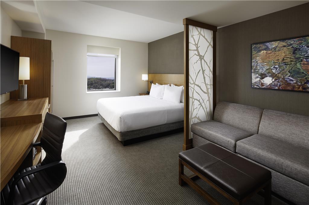 Hyatt Place Knoxville Downtown - photo 32