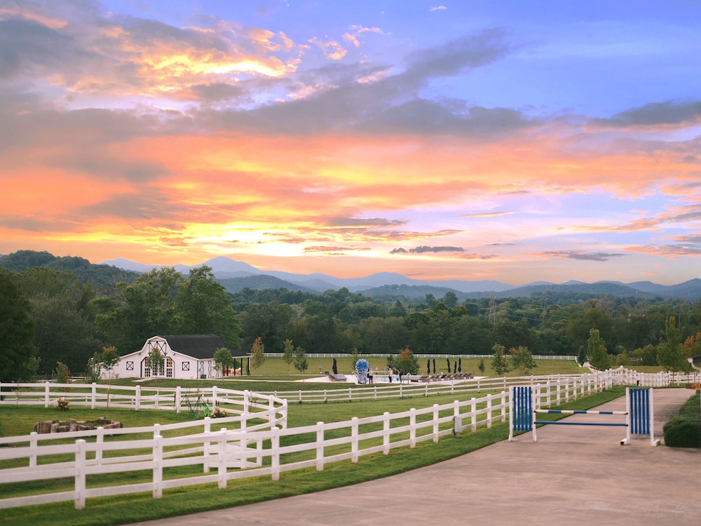 The Horse Shoe Farm - featured photo