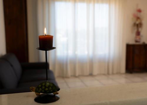 La Tartaruga — 4-Star Luxury Hotel in Siena, Italy