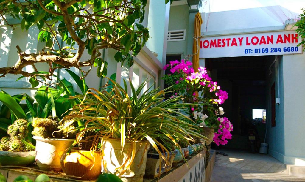 Homestay Loan Anh — 5-Star Luxury Hotel in Ly Son, Vietnam