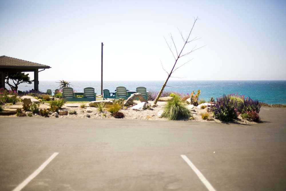 Cambria Shores Inn - photo 37