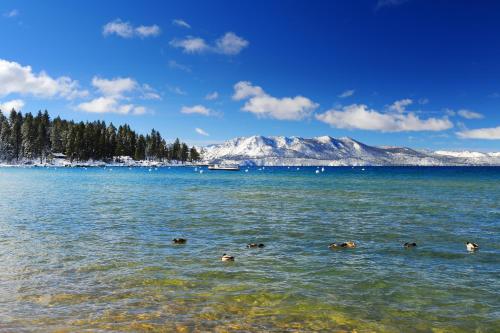 Ski Run Village — 4-Star Luxury Hotel in South Lake Tahoe, United States