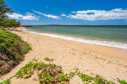 Waiohuli Beach Hale #D 220 - photo 15