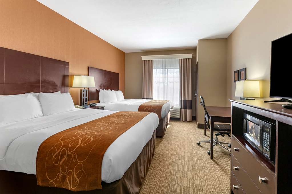 Comfort Suites Perrysburg Toledo South - photo 11