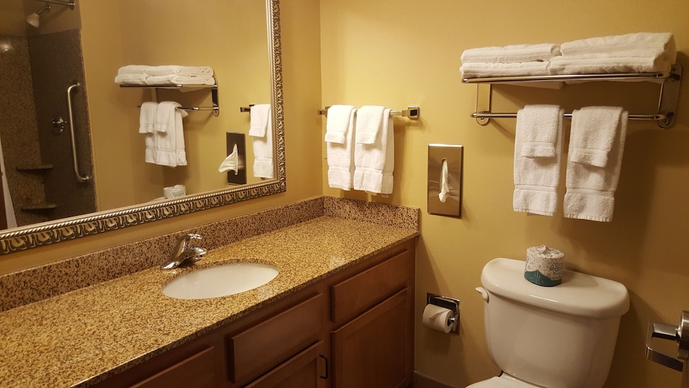 Affordable Suites of America Rogers Bentonville - photo 22