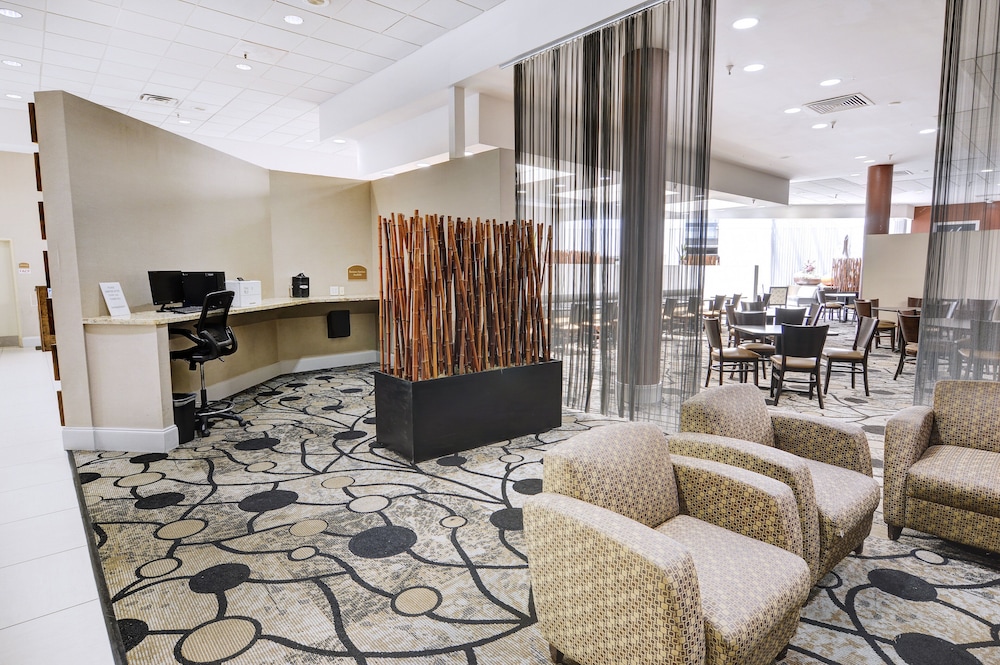 Holiday Inn St Petersburg N Clearwater by IHG - photo 28