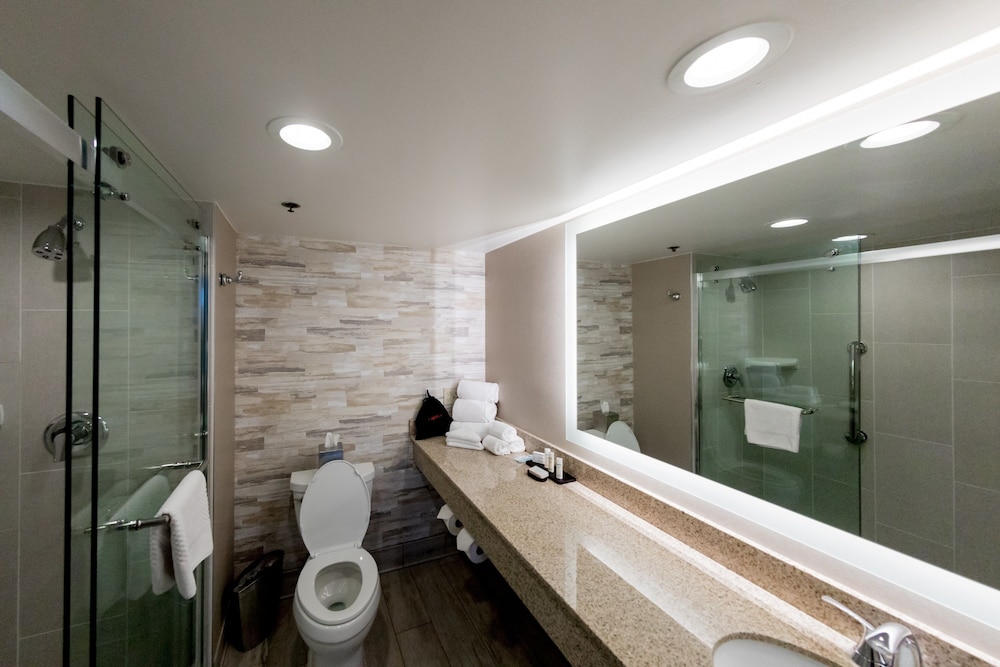 Embassy Suites by Hilton Lexington Green - photo 39