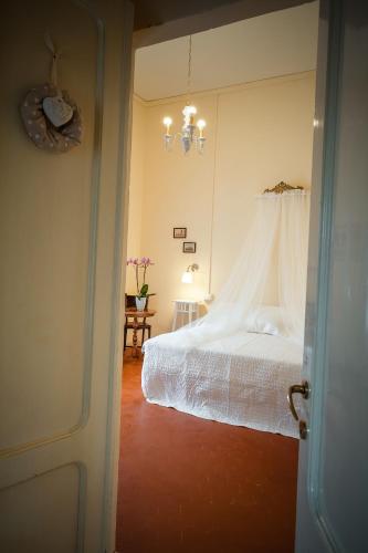 Il Piccolo Verde — Terranuova Bracciolini — photo 2