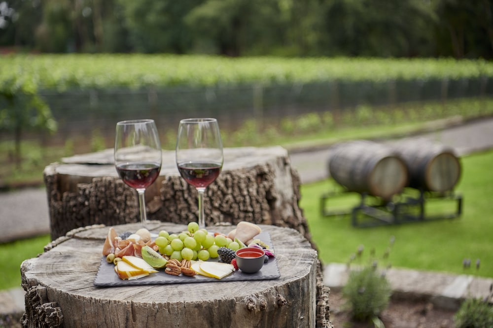 Vineyard